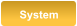 System
