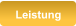 Leistung