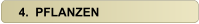 4.  PFLANZEN