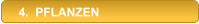 4.  PFLANZEN