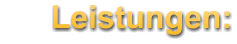 Leistungen: