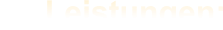 Leistungen:
